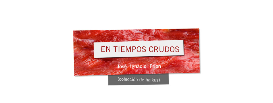 Poemario de haikus “En tiempos crudos” de José Ignacio Frion