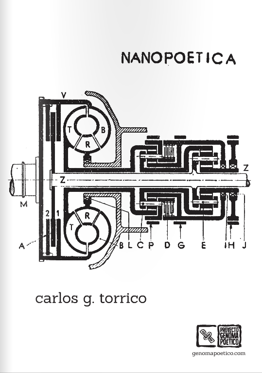 Nanopoética. De carlos g. torrico