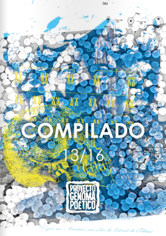 Compilado 13/16