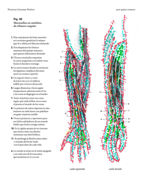 Fig. 59 Murmullos en antídoto  de efímero engaño